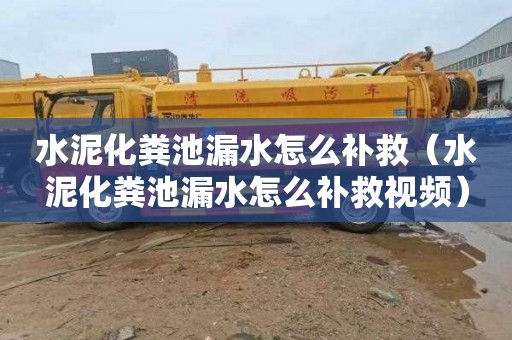 水泥化粪池漏水怎么补救（水泥化粪池漏水怎么补救视频）
