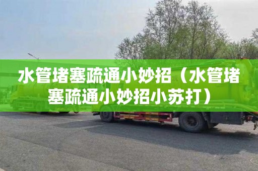 水管堵塞疏通小妙招（水管堵塞疏通小妙招小苏打）