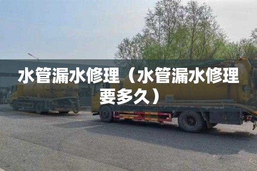 水管漏水修理（水管漏水修理要多久）