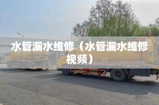 水管漏水维修（水管漏水维修视频）