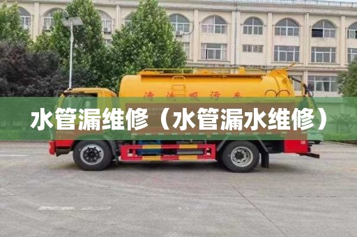 水管漏维修（水管漏水维修）