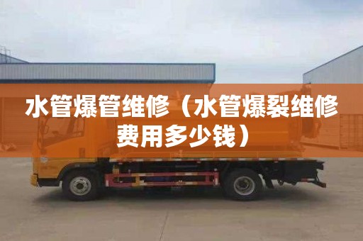 水管爆管维修（水管爆裂维修费用多少钱）