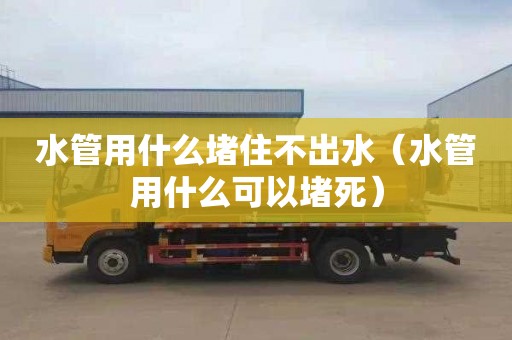 水管用什么堵住不出水（水管用什么可以堵死）
