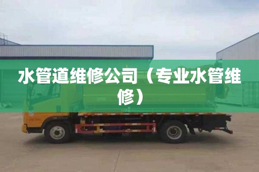 水管道维修公司（专业水管维修）