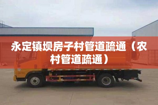 永定镇坝房子村管道疏通（农村管道疏通）