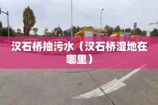 汉石桥抽污水（汉石桥湿地在哪里）