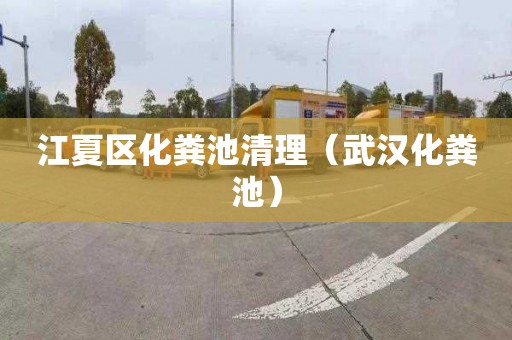 江夏区化粪池清理（武汉化粪池）