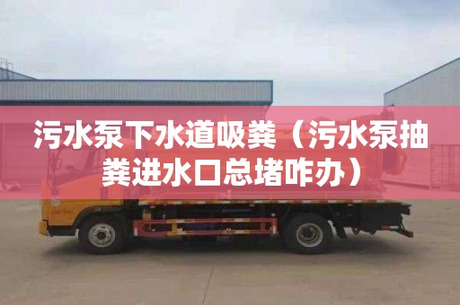 污水泵下水道吸粪（污水泵抽粪进水口总堵咋办）