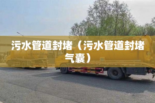 污水管道封堵（污水管道封堵气囊）