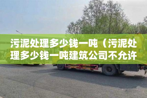 污泥处理多少钱一吨（污泥处理多少钱一吨建筑公司不允许转包吗）
