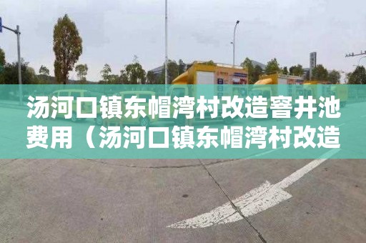 汤河口镇东帽湾村改造窨井池费用（汤河口镇东帽湾村改造窨井池费用多少）