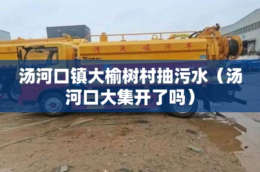 汤河口镇大榆树村抽污水（汤河口大集开了吗）