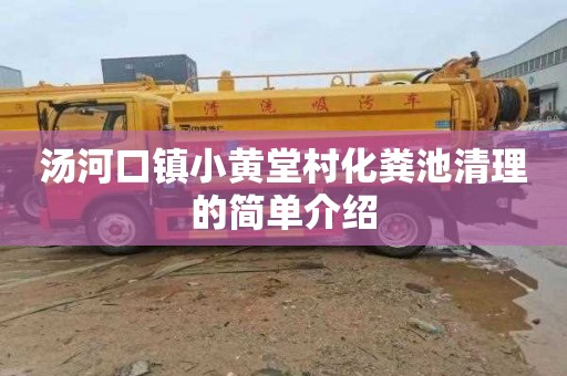 汤河口镇小黄堂村化粪池清理的简单介绍