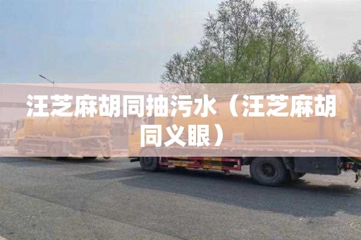 汪芝麻胡同抽污水（汪芝麻胡同义眼）