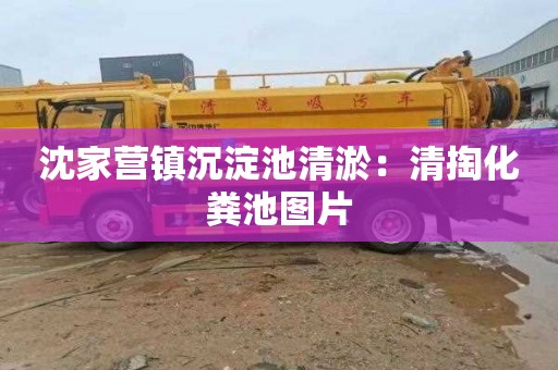 沈家营镇沉淀池清淤：清掏化粪池图片