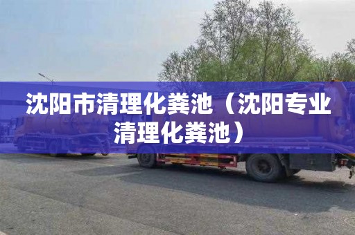 沈阳市清理化粪池（沈阳专业清理化粪池）