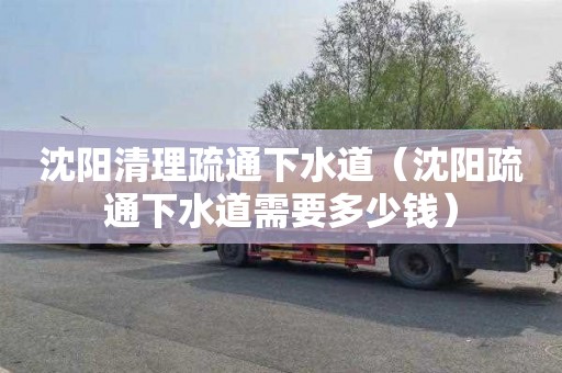 沈阳清理疏通下水道（沈阳疏通下水道需要多少钱）