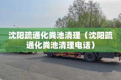 沈阳疏通化粪池清理（沈阳疏通化粪池清理电话）
