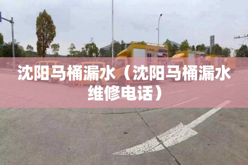 沈阳马桶漏水（沈阳马桶漏水维修电话）
