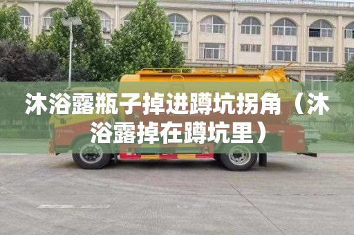 沐浴露瓶子掉进蹲坑拐角（沐浴露掉在蹲坑里）
