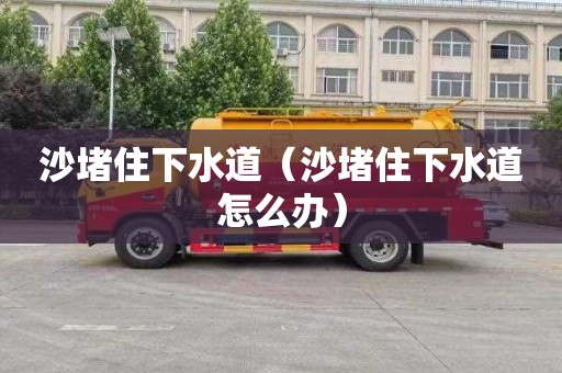 沙堵住下水道（沙堵住下水道怎么办）