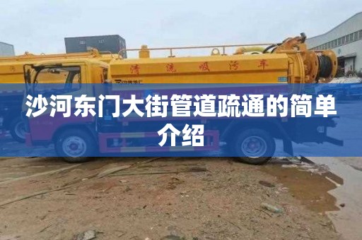 沙河东门大街管道疏通的简单介绍