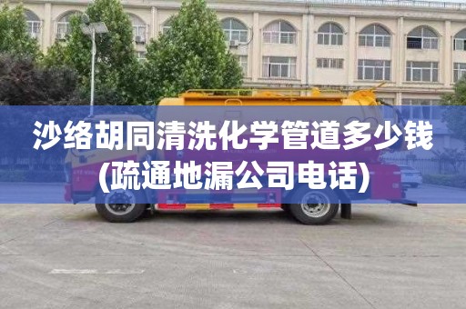 沙络胡同清洗化学管道多少钱(疏通地漏公司电话)