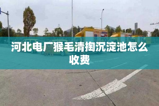 河北电厂猴毛清掏沉淀池怎么收费