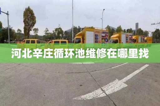 河北辛庄循环池维修在哪里找