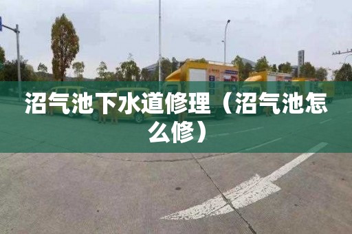 沼气池下水道修理（沼气池怎么修）