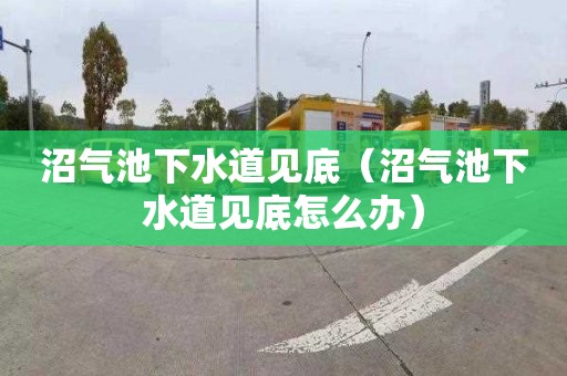 沼气池下水道见底（沼气池下水道见底怎么办）