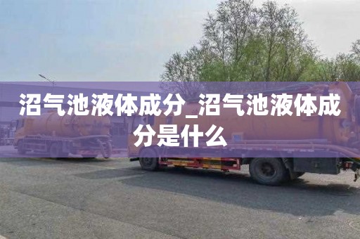 沼气池液体成分_沼气池液体成分是什么