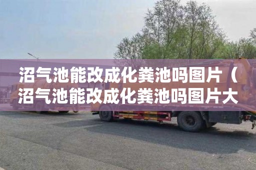沼气池能改成化粪池吗图片（沼气池能改成化粪池吗图片大全）