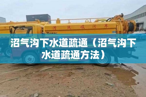 沼气沟下水道疏通（沼气沟下水道疏通方法）
