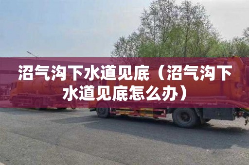 沼气沟下水道见底（沼气沟下水道见底怎么办）