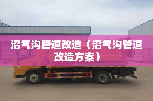 沼气沟管道改造（沼气沟管道改造方案）