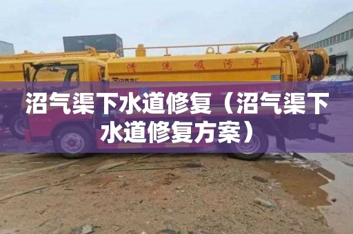 沼气渠下水道修复（沼气渠下水道修复方案）