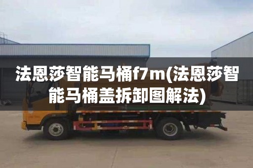 法恩莎智能马桶f7m(法恩莎智能马桶盖拆卸图解法)