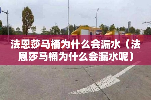 法恩莎马桶为什么会漏水（法恩莎马桶为什么会漏水呢）
