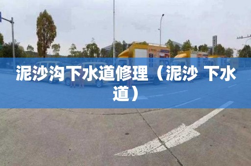 泥沙沟下水道修理（泥沙 下水道）
