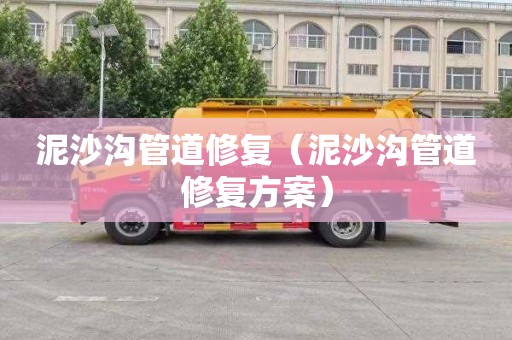 泥沙沟管道修复（泥沙沟管道修复方案）
