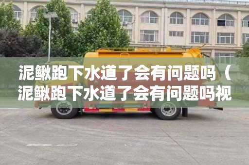 泥鳅跑下水道了会有问题吗（泥鳅跑下水道了会有问题吗视频）