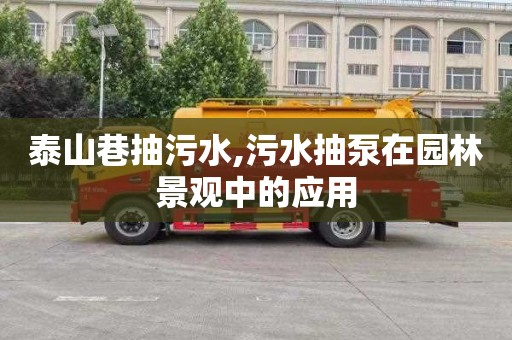 泰山巷抽污水,污水抽泵在园林景观中的应用
