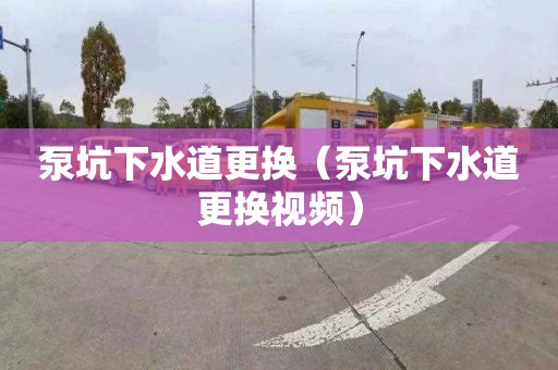 泵坑下水道更换（泵坑下水道更换视频）