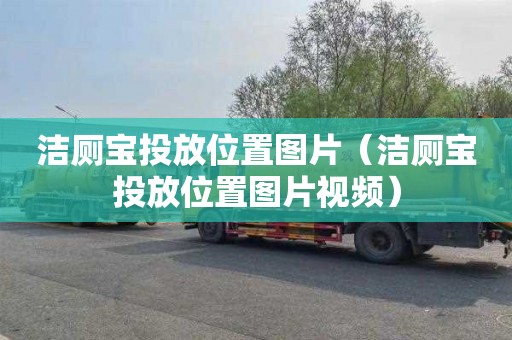 洁厕宝投放位置图片（洁厕宝投放位置图片视频）