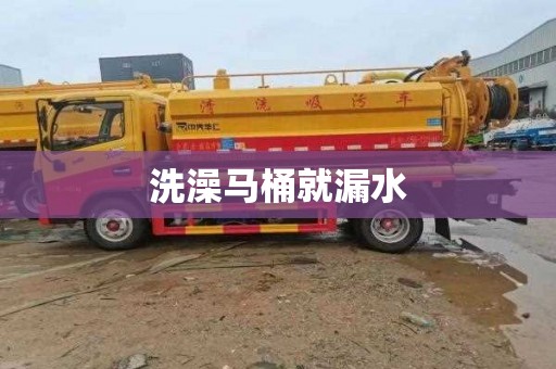 洗澡马桶就漏水