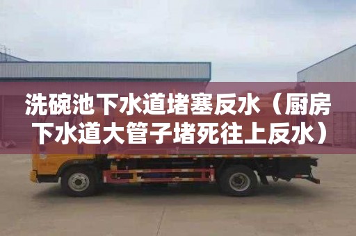 洗碗池下水道堵塞反水（厨房下水道大管子堵死往上反水）