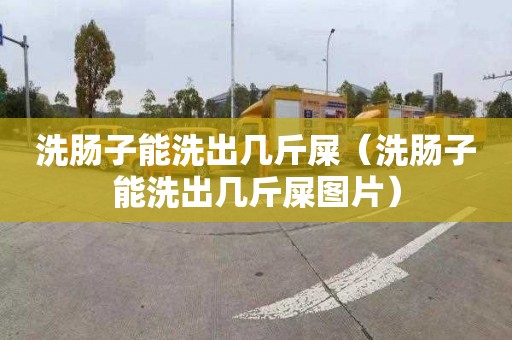洗肠子能洗出几斤屎（洗肠子能洗出几斤屎图片）