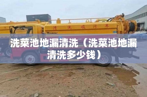 洗菜池地漏清洗（洗菜池地漏清洗多少钱）
