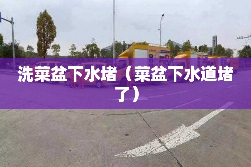 洗菜盆下水堵（菜盆下水道堵了）